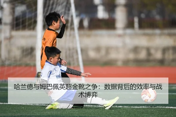 ha-lan-de-yu-mu-ba-pei-ying-chao-jin-xue-zhi-zheng-shu-ju-bei-hou-de-xiao-lv-yu-zhan-shu-bo-yi-2-611.jpg